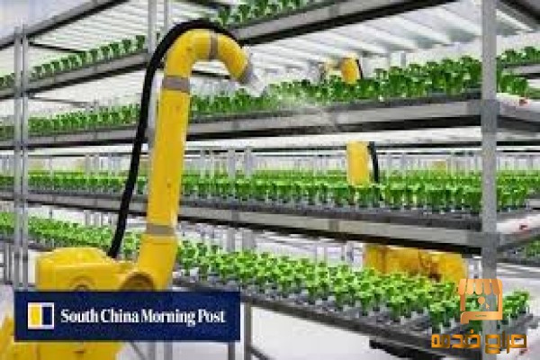 مدير مزارع هيدروبونيك يبحث عن فرصة