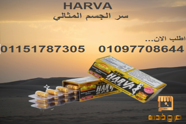 نيو هارفا