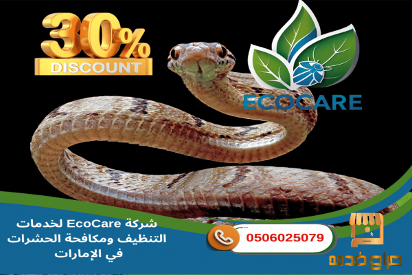 شركة مكافحة حشرات في عجمان